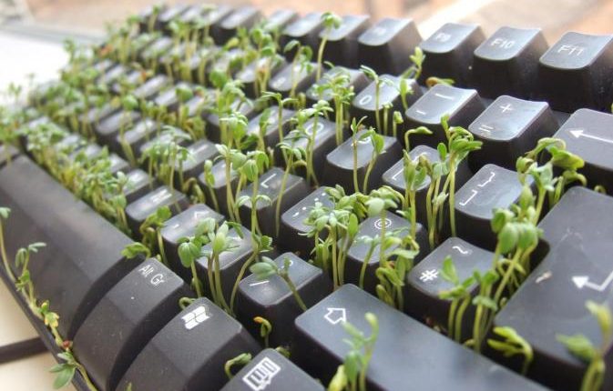 Hoe groen is jouw kantoor?
